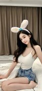 一级无码免费黄片区