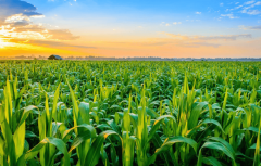 精辟出产线排名前十名品牌厂家